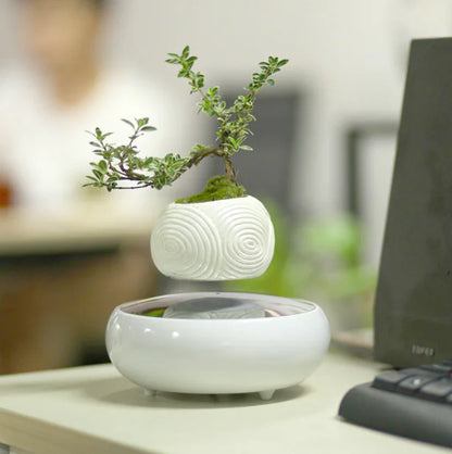 Floating Flower Pot for Home Decor